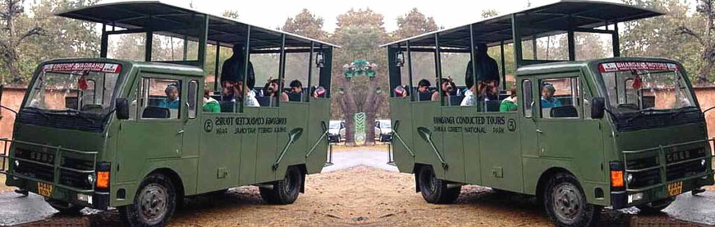 Canter Safari in Jim Corbett Dhikala Zone