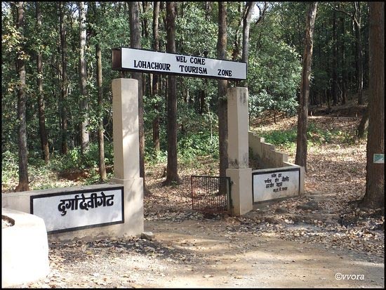 Durga devi zone entry gate